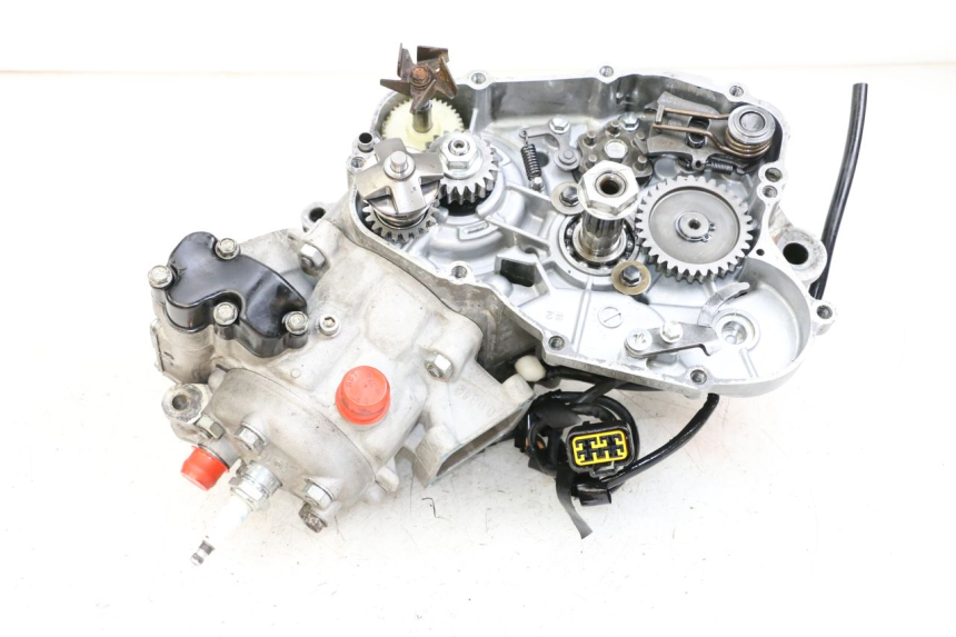 photo de MOTORE KAWASAKI KX 85 (2014 - 2021)