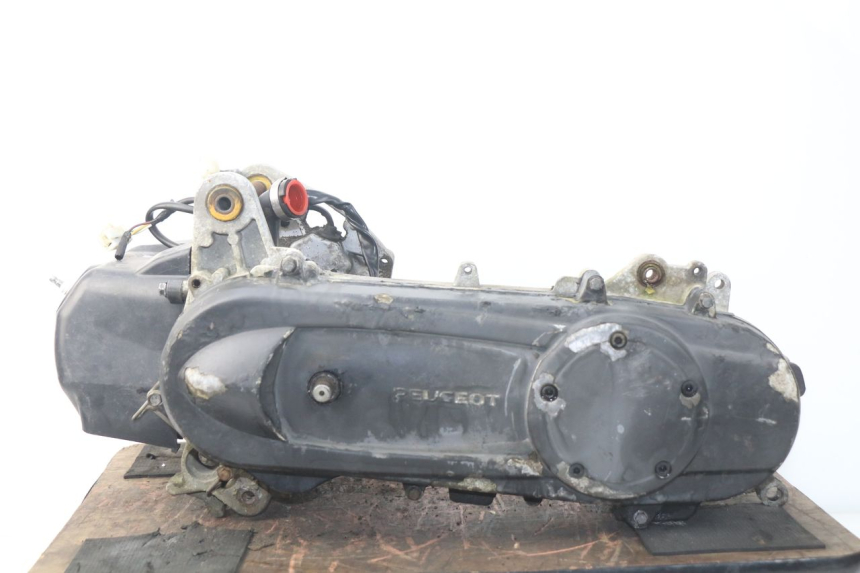 photo de MOTORE PEUGEOT LUDIX 50 (2008 - 2017)