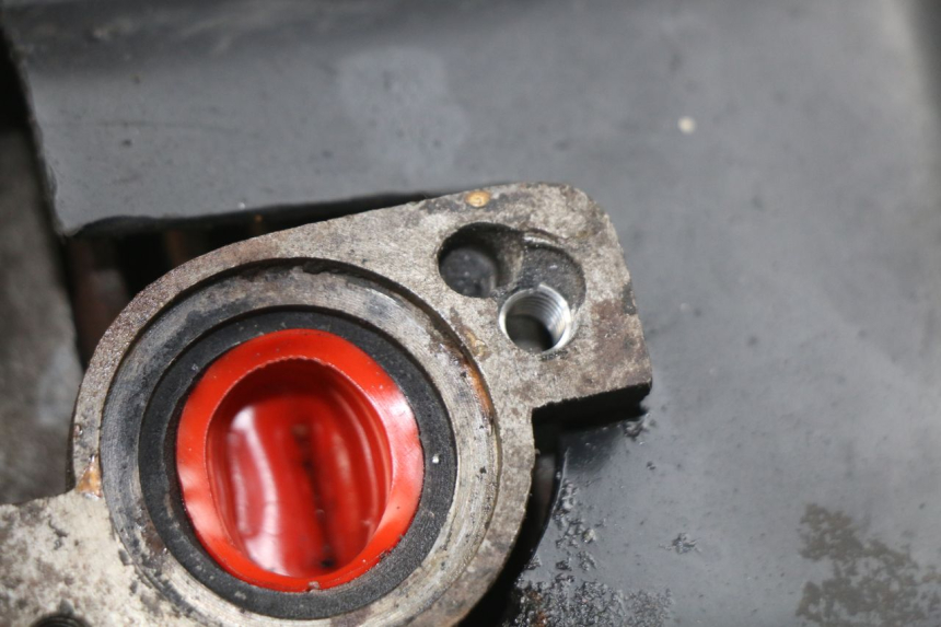 photo de MOTORE PEUGEOT LUDIX 50 (2008 - 2017)