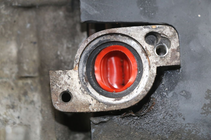 photo de MOTORE PEUGEOT LUDIX 50 (2008 - 2017)