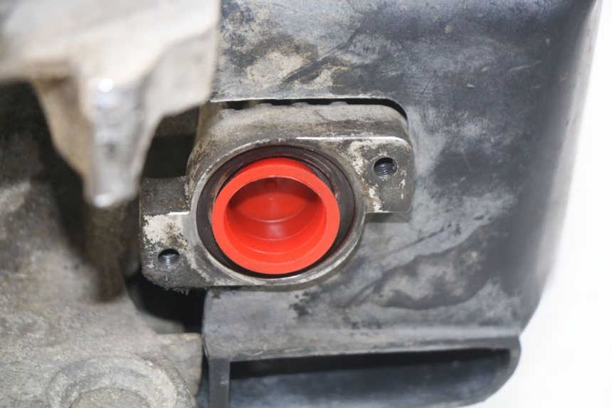 photo de MOTORE PEUGEOT LUDIX 50 (2005 - 2007)