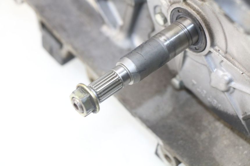 photo de MOTORE PEUGEOT LUDIX 50 (2005 - 2007)