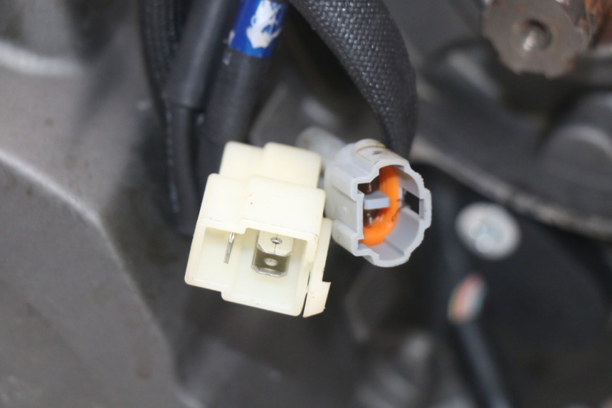 photo de MOTORE MASAI SCRAMBLER SPORT 125 (2021 - 2025) - Vista d'insieme del prodotto