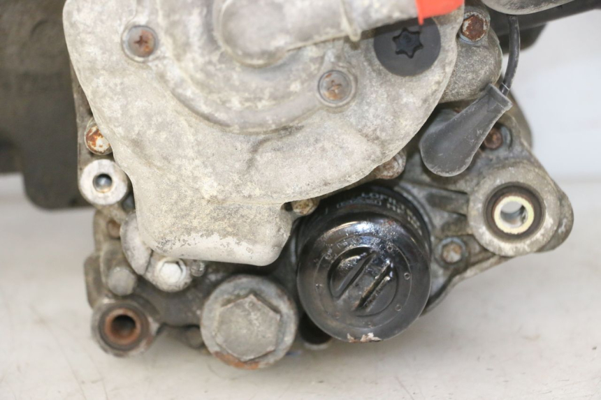 photo de MOTORE PIAGGIO MP3 RL 250 (2007 - 2010)