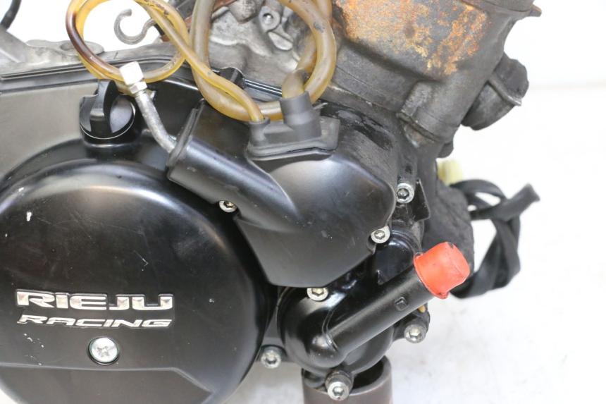 photo de MOTORE RIEJU MRT 50 (2018 - 2021)