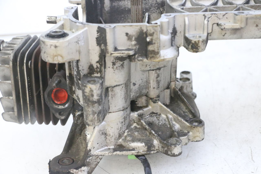 photo de MOTORE PIAGGIO NEW TYPHOON 50 (2018 - 2021)