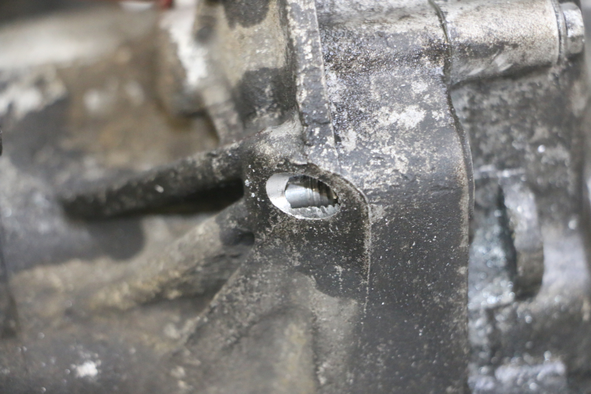 photo de MOTORE GILERA NEXUS 125 (2009 - 2013)