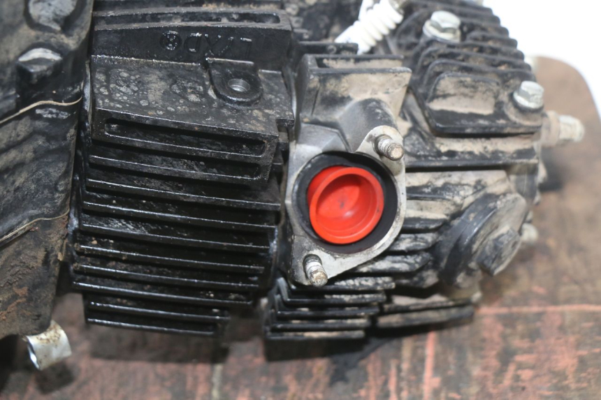 photo de MOTORE NITRO MOTORS STORM DIRTBIKE 110