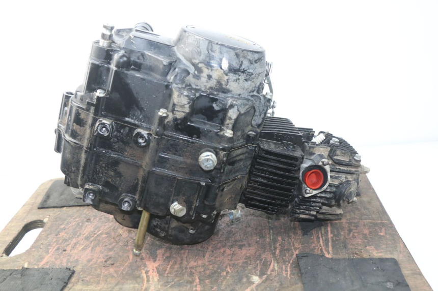 photo de MOTORE NITRO MOTORS STORM DIRTBIKE 110