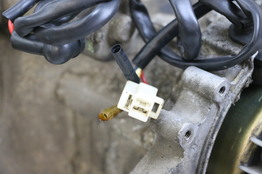 photo de MOTORE IMF INDUSTRIE PACH 4T 50 (2009 - 2018)