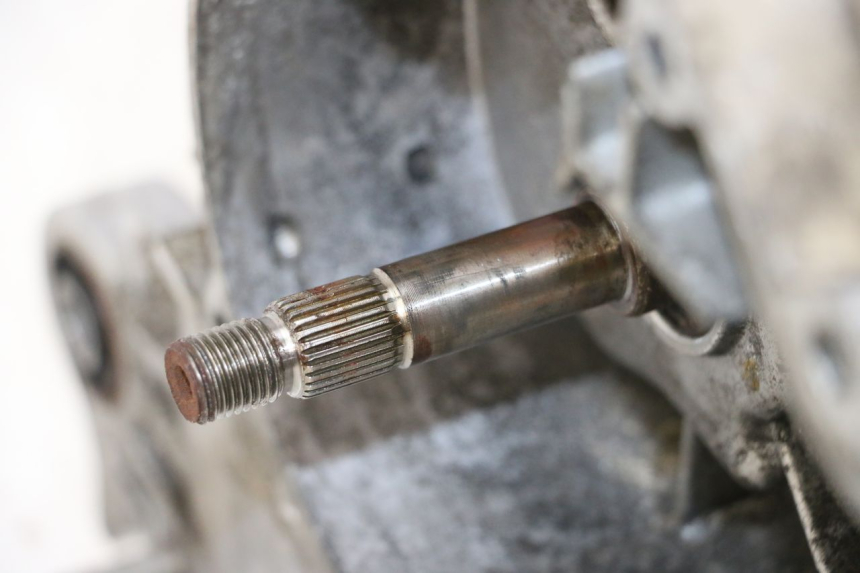photo de MOTORE IMF INDUSTRIE PACH 4T 50 (2009 - 2018)