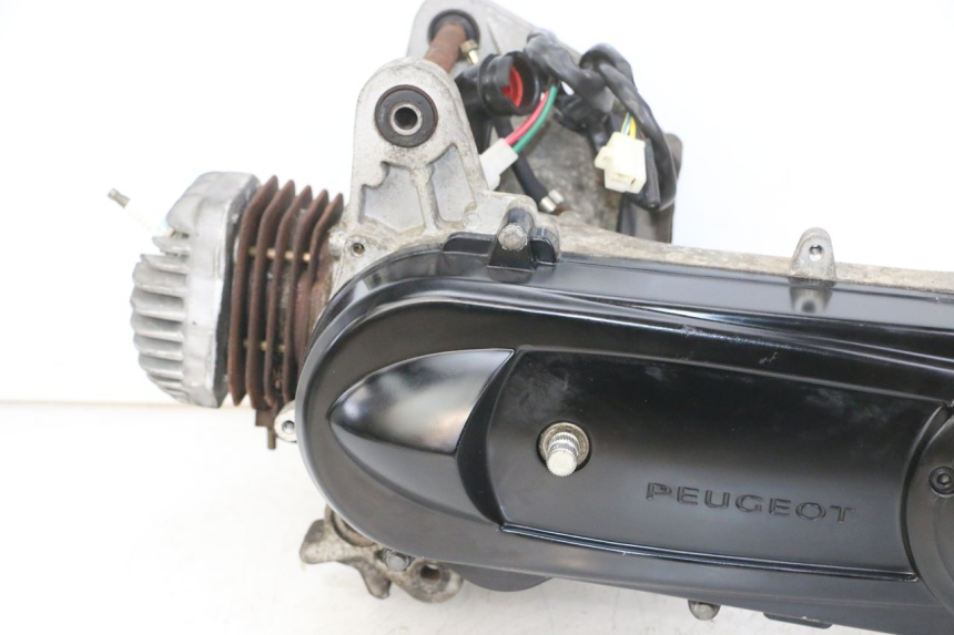 photo de MOTORE PEUGEOT CITYSTAR 2T 50 (2018 - 2021)