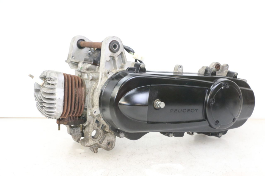 photo de MOTORE PEUGEOT CITYSTAR 2T 50 (2018 - 2021)