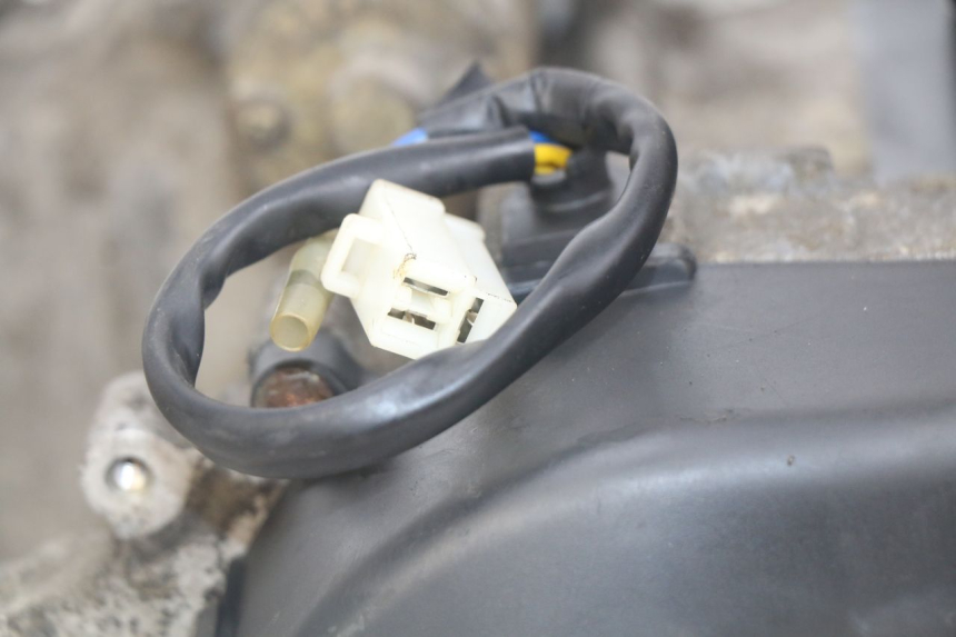 photo de MOTORE PEUGEOT DJANGO 4T 50 (2014 - 2019)