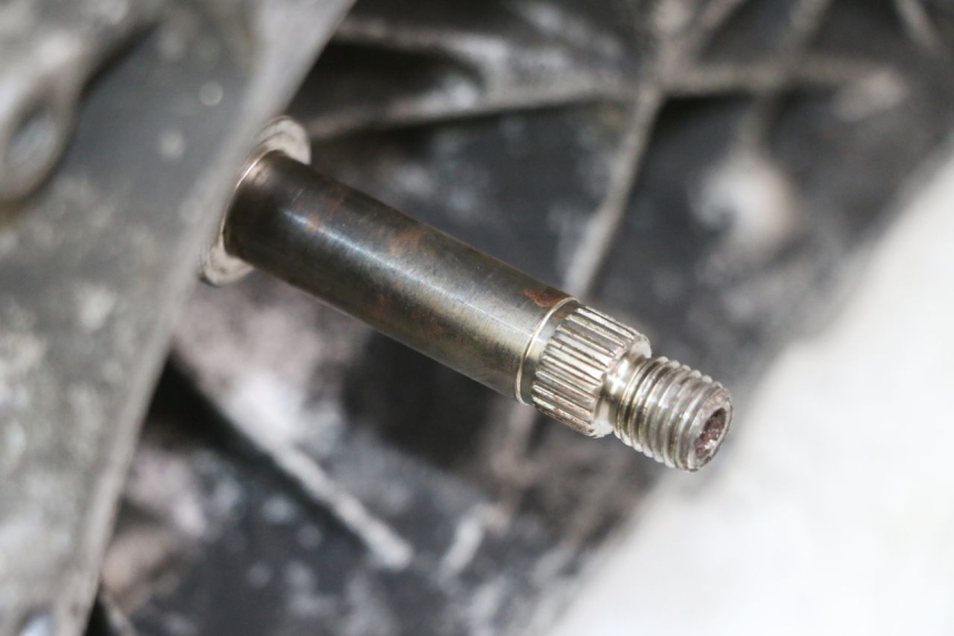 photo de MOTORE PEUGEOT ELYSTAR 50 (2002 - 2014)