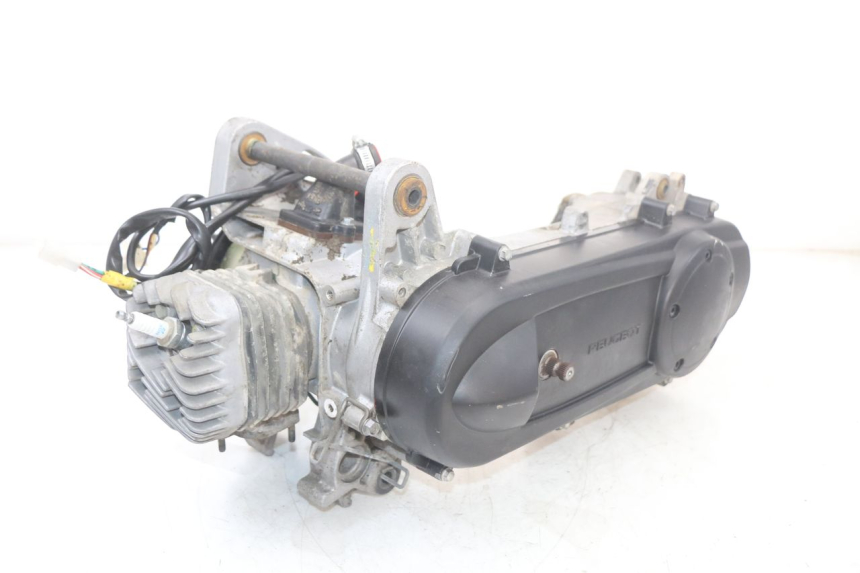 photo de MOTORE PEUGEOT LUDIX 50 (2005 - 2007)