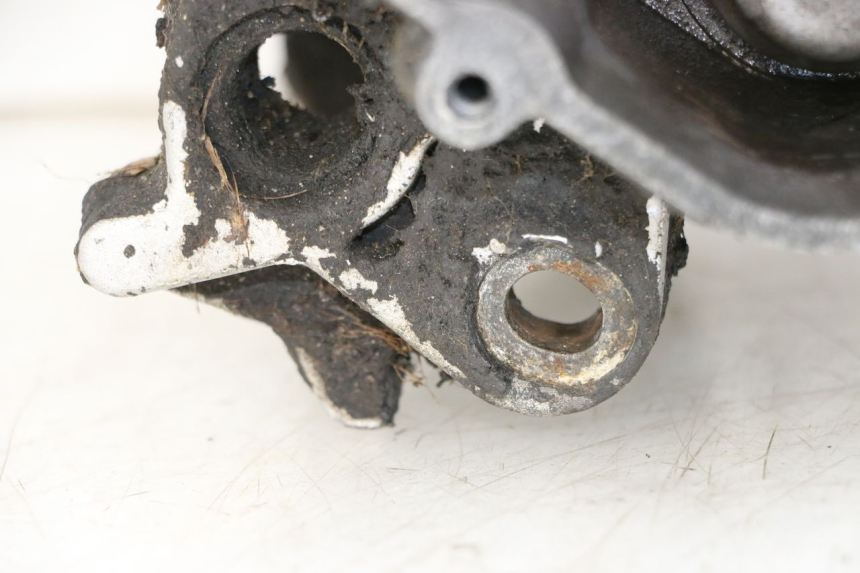 photo de MOTORE PEUGEOT LUDIX 50 (2008 - 2017)