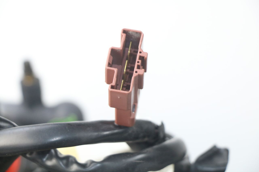 photo de MOTORE PEUGEOT SATELIS 300 (2012 - 2015)