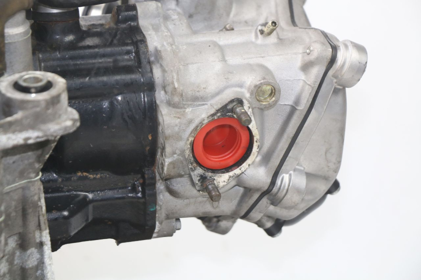 photo de MOTORE PEUGEOT SATELIS 300 (2012 - 2015)