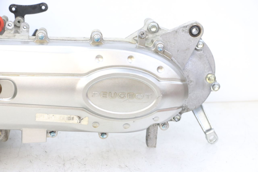 photo de MOTORE PEUGEOT TWEET 4T 50 (2014 - 2019)