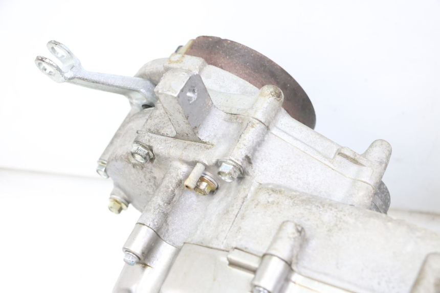 photo de MOTORE PEUGEOT TWEET 4T 50 (2014 - 2019)