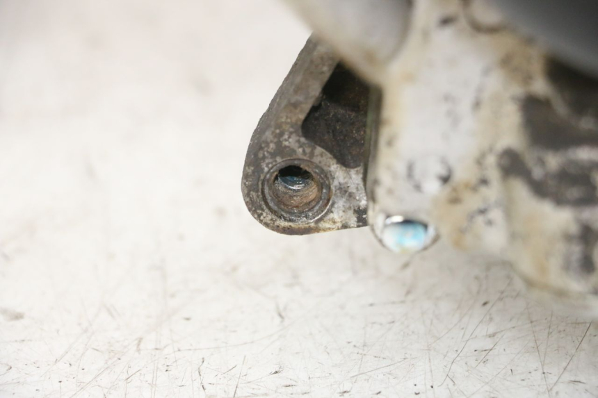 photo de MOTORE PEUGEOT TWEET PRO CARGO 50 (2018 - 2020)