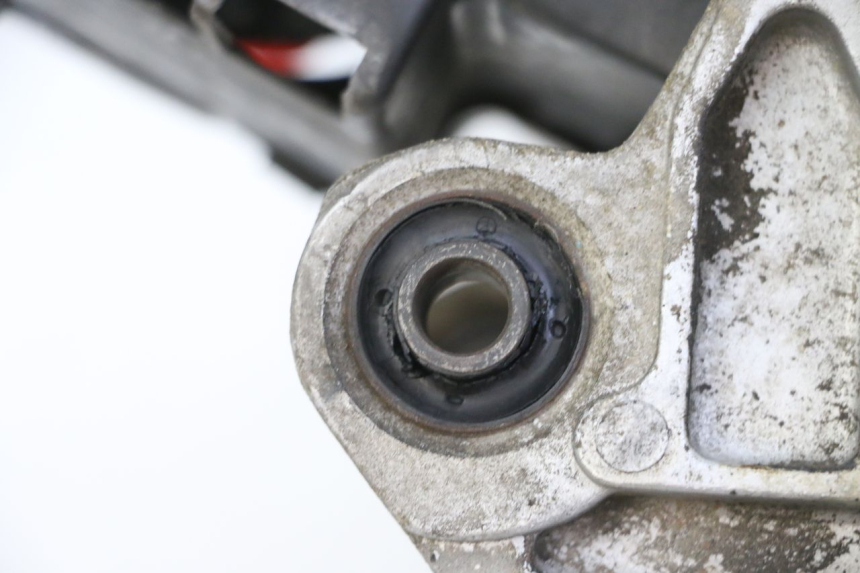 photo de MOTORE PEUGEOT TWEET PRO CARGO 50 (2018 - 2020)