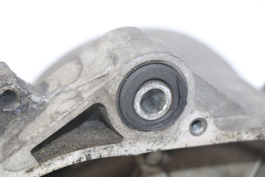 photo de MOTORE PIAGGIO VESPA PRIMAVERA 2T 50 (2013 - 2018)