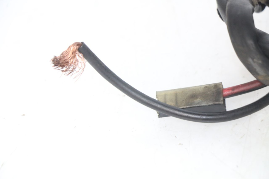 photo de MOTORE PIAGGIO VESPA PRIMAVERA 2T 50 (2013 - 2018)
