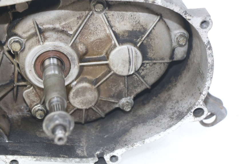 photo de MOTORE PIAGGIO VESPA PRIMAVERA 2T 50 (2013 - 2018)
