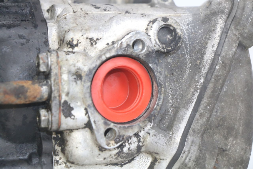 photo de MOTEUR PIAGGIO X9 EVOLUTION 250 (2003 - 2007)