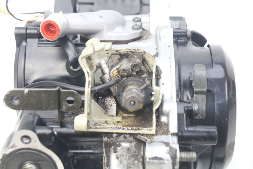 photo de MOTORE YAMAHA PW 50 (1984 - 2020)