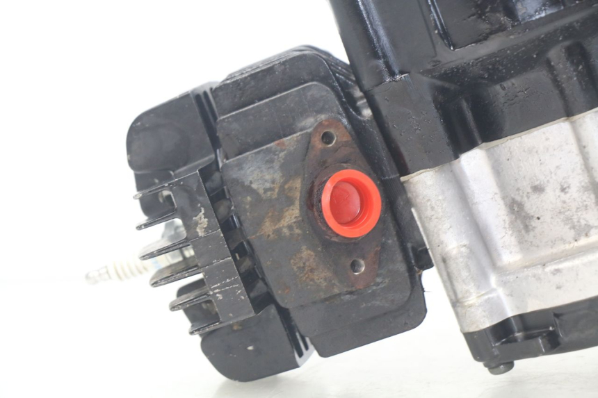 photo de MOTORE YAMAHA PW 50 (1984 - 2020)