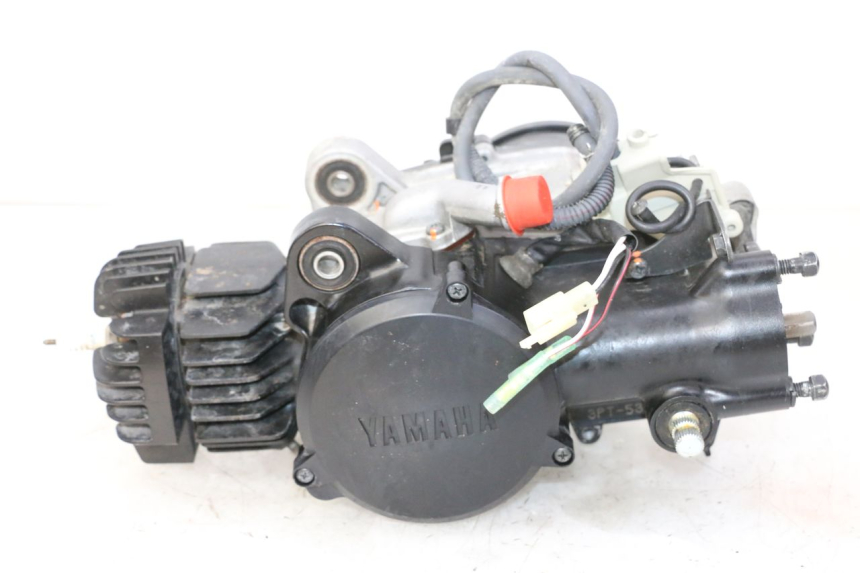 photo de MOTORE YAMAHA PW 50 (1984 - 2020)