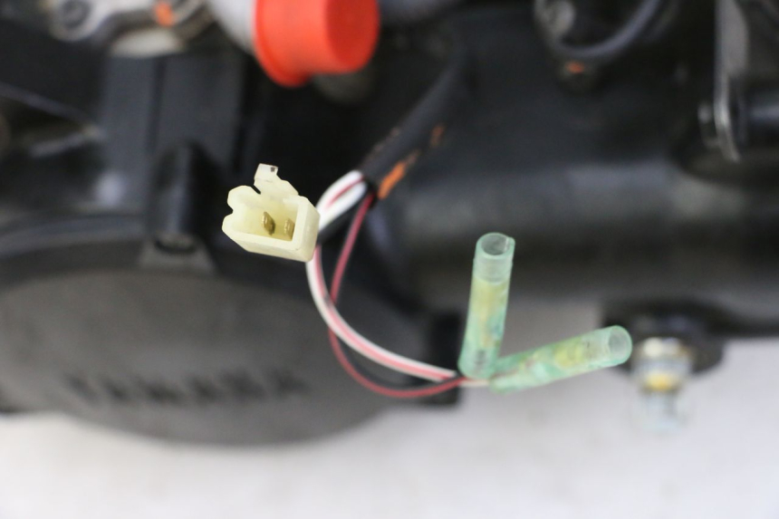 photo de MOTORE YAMAHA PW 50 (1984 - 2020)