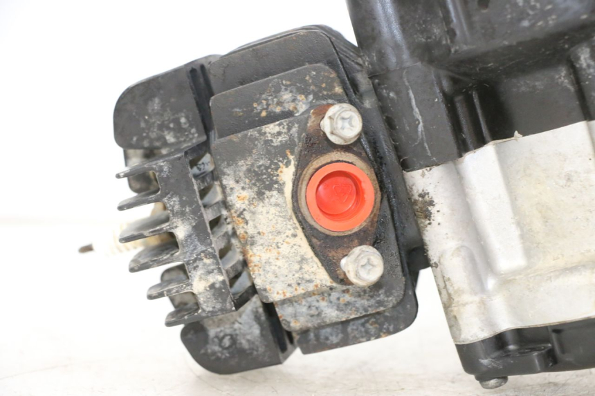 photo de MOTORE YAMAHA PW 50 (1984 - 2020)