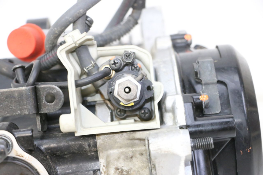 photo de MOTORE YAMAHA PW 50 (1984 - 2020)