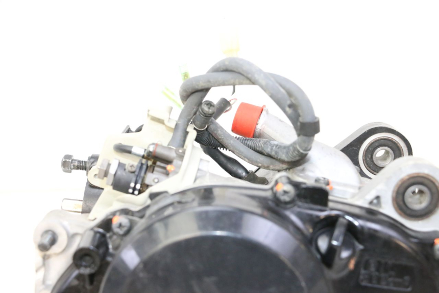 photo de MOTORE YAMAHA PW 50 (1984 - 2020)