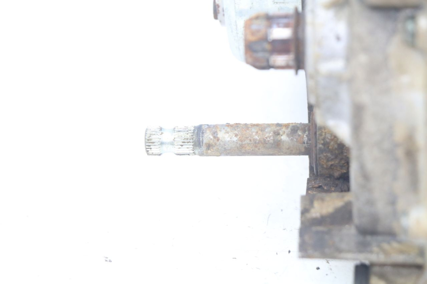 photo de MOTORE YAMAHA PW 80 (1983 - 2014)