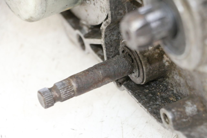 photo de MOTORE YAMAHA PW 80 (1983 - 2014)