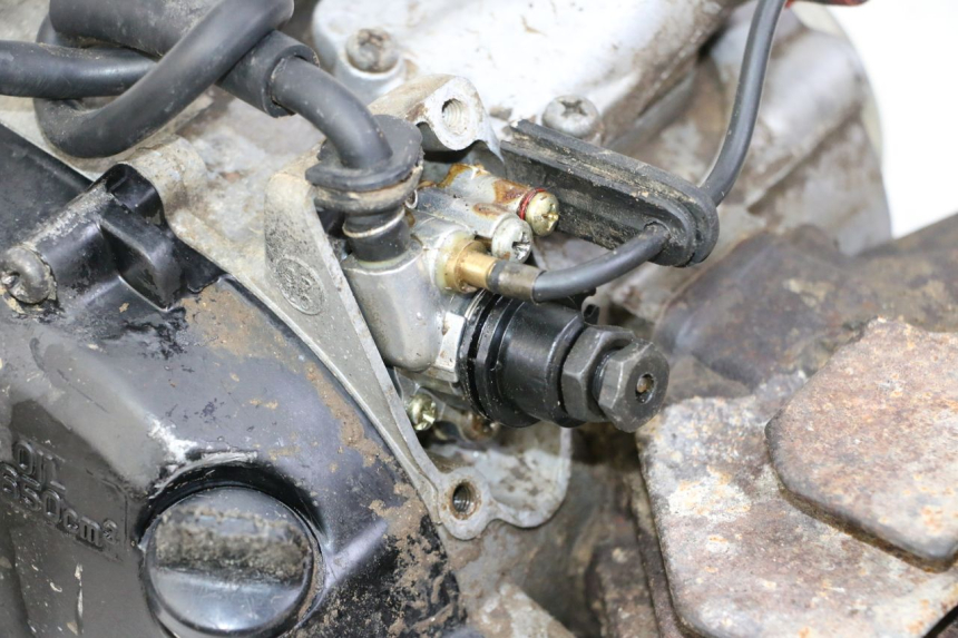 photo de MOTORE YAMAHA PW 80 (1983 - 2014)