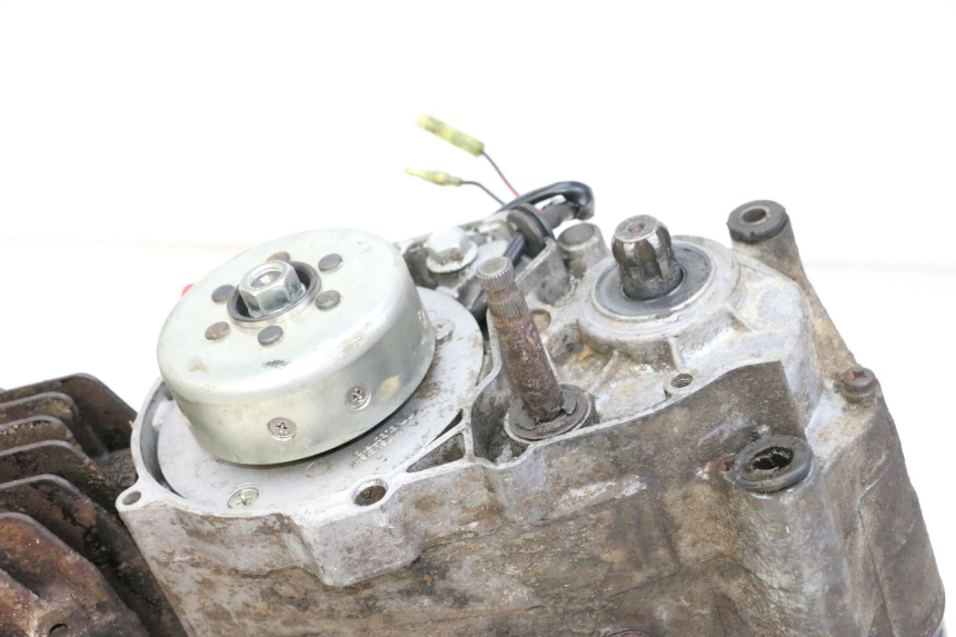 photo de MOTORE YAMAHA PW 80 (1983 - 2014)