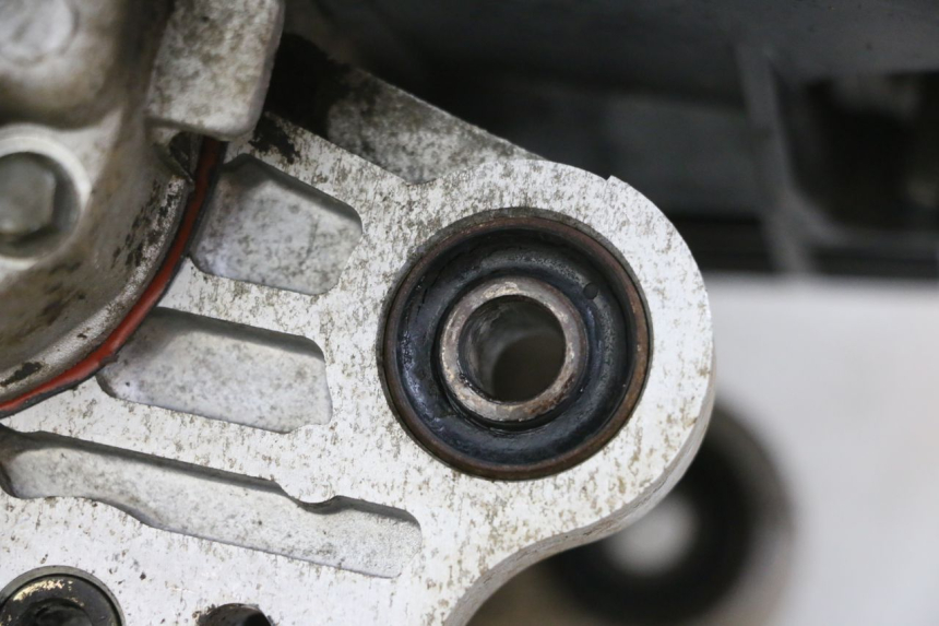 photo de MOTORE TNT MOTOR ROMA 10' 4T 50 (2019 - 2022) - Stato della superficie e materiale