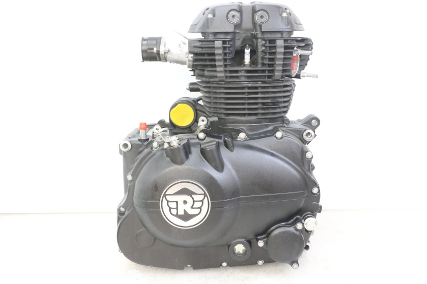 photo de MOTORE ROYAL ENFIELD HYMALAYAN 410 (2016 - 2023)