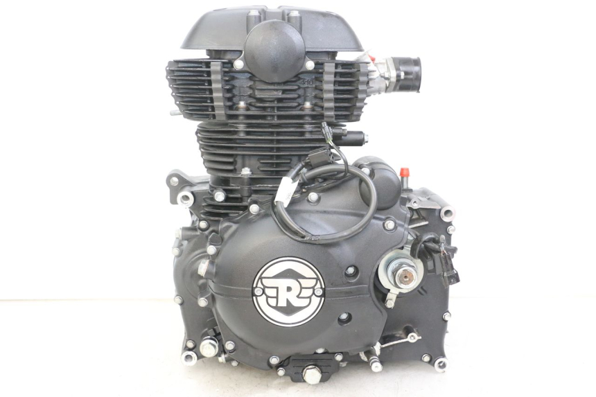 photo de MOTORE ROYAL ENFIELD HYMALAYAN 410 (2016 - 2023)