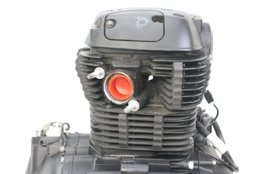 photo de MOTORE ROYAL ENFIELD HYMALAYAN 410 (2016 - 2023)