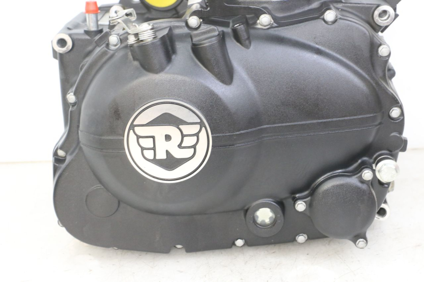 photo de MOTORE ROYAL ENFIELD HYMALAYAN 410 (2016 - 2023)