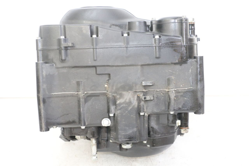 photo de MOTORE ROYAL ENFIELD HYMALAYAN 410 (2016 - 2023)