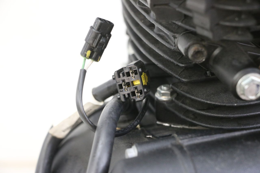photo de MOTORE ROYAL ENFIELD HYMALAYAN 410 (2016 - 2023)