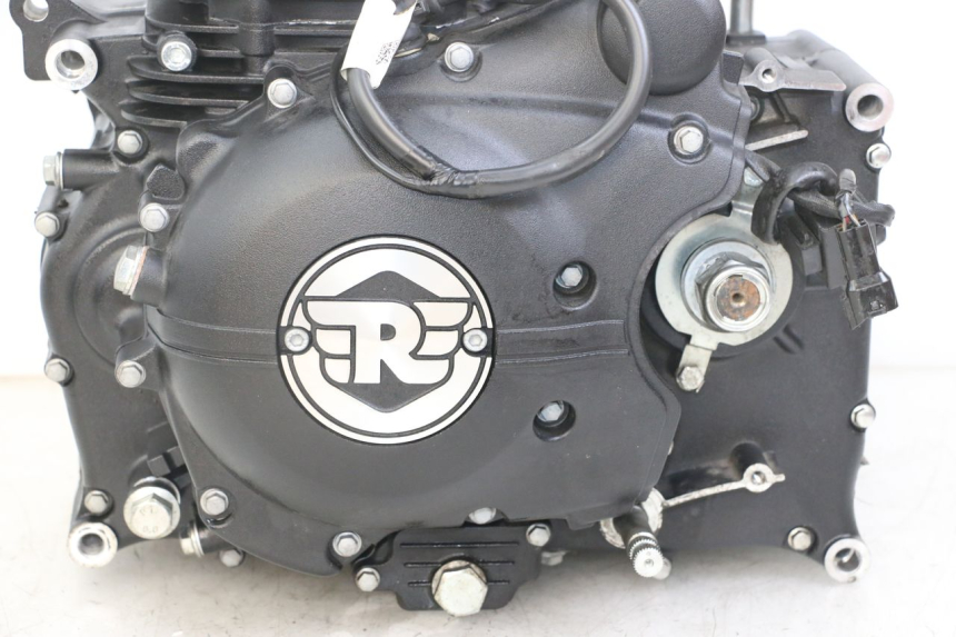 photo de MOTORE ROYAL ENFIELD HYMALAYAN 410 (2016 - 2023)